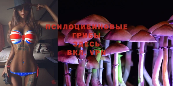 ГАЛЛЮЦИНОГЕННЫЕ ГРИБЫ Волоколамск