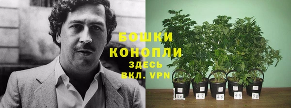 эйфоретик Волосово