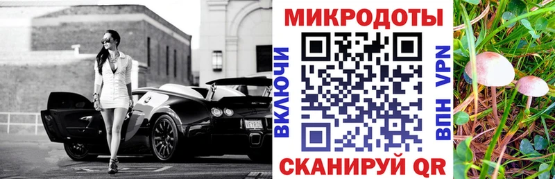 Галлюциногенные грибы Cubensis продажа наркотиков Химки